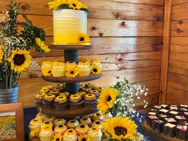 ohio barn weddings near cleveland oh at american wilderness campground