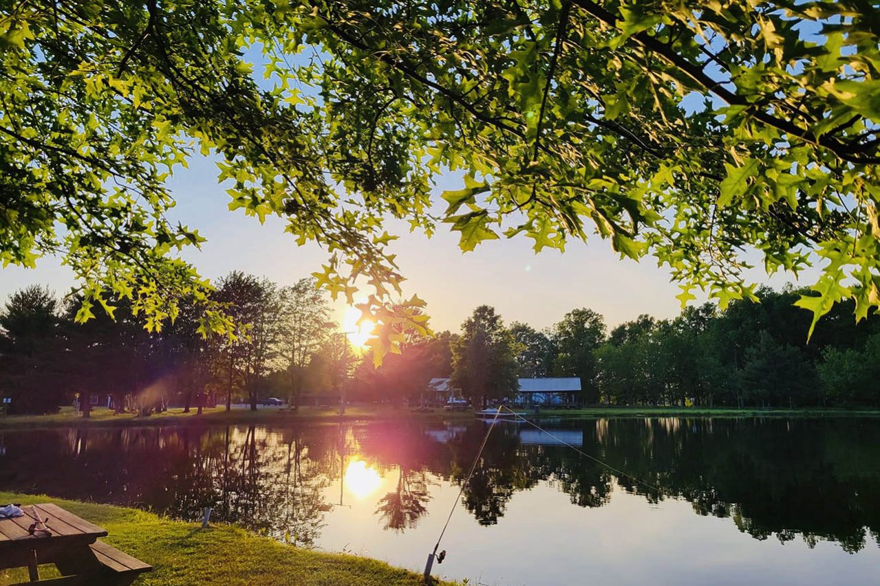 sunset through the trees