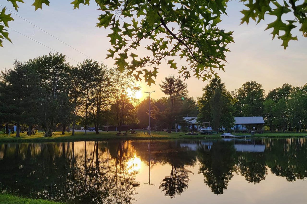 sunset through the trees