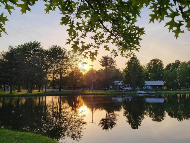 sunset through the trees