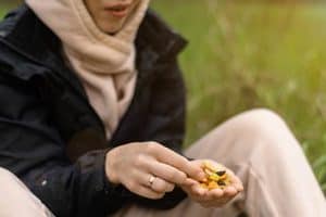 trail mix is a great snack while camping at American Wilderness Campground
