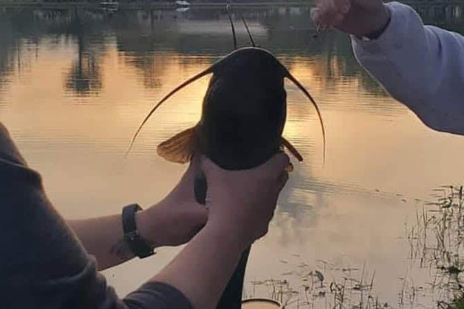 Family catching a fish together during an evening at American Wilderness Campground in Grafton, Ohio
