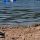 Summer day at the swimming beach at American Wilderness Campground near Cleveland, Ohio
